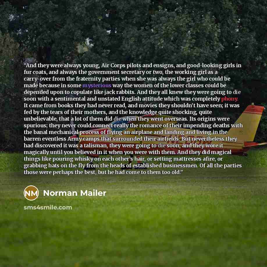 “And they were always young, Air Corps pilots and ensigns, and good-looking girls in fur coats, and always the government secretary or two, the working girl as a carry-over from the fraternity parties when she was always the girl who could be made because in some mysterious way the women of the…” quote by Norman Mailer