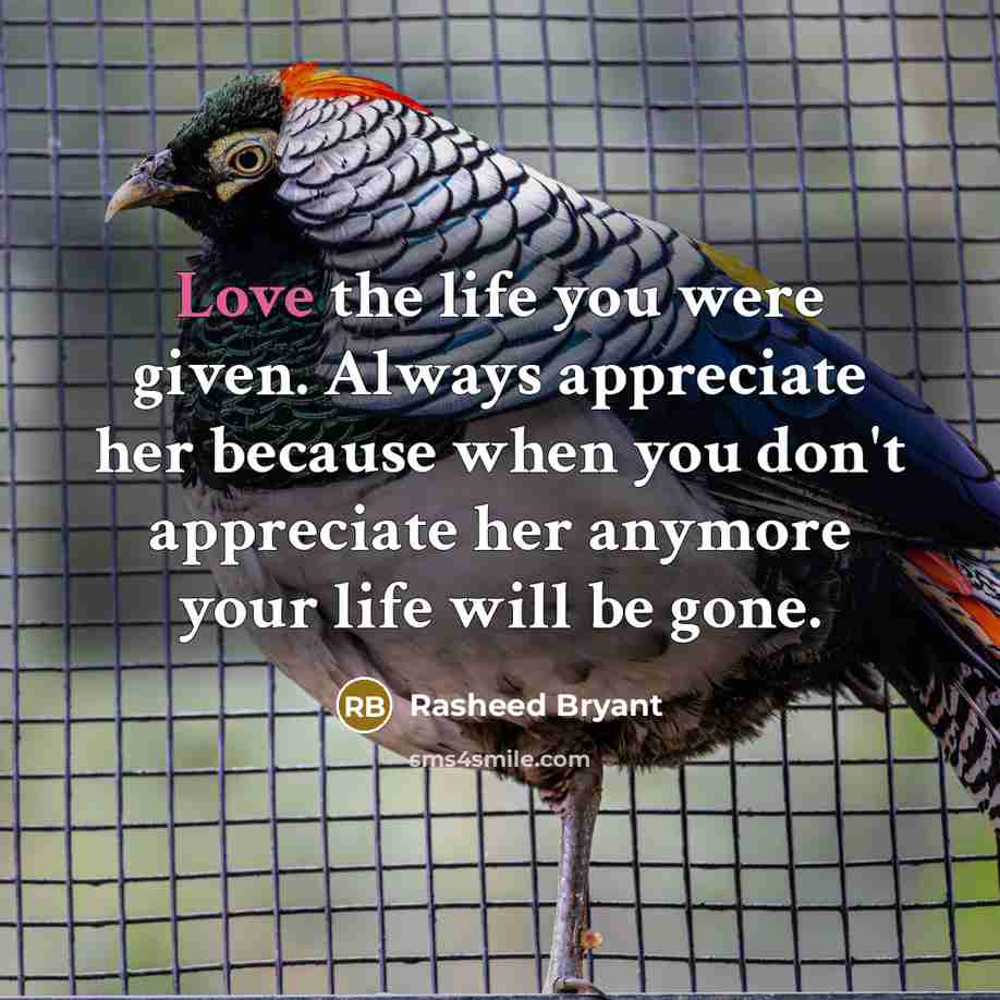 “Love the life you were given. Always appreciate her because…” quote by Rasheed Bryant
