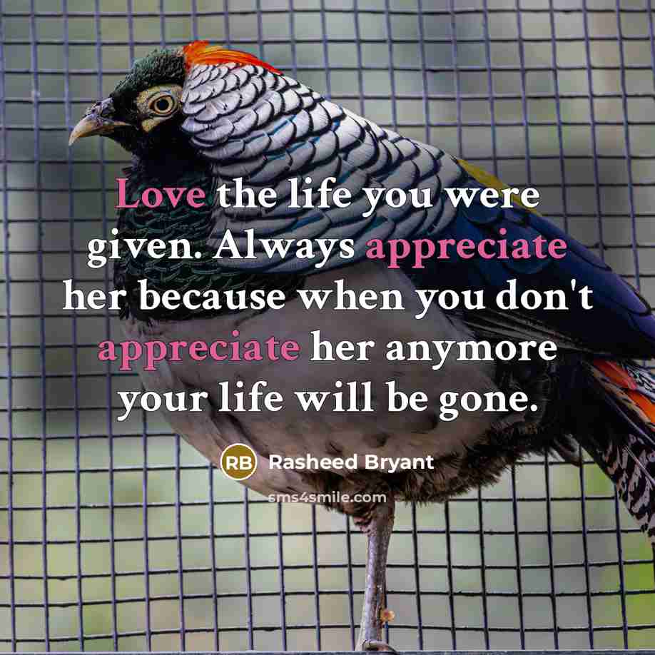 “Love the life you were given. Always appreciate her because when you don't appreciate her anymore your life will be gone.” quote by Rasheed Bryant