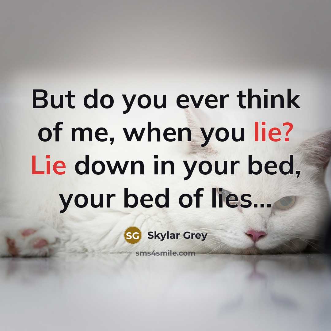 “But do you ever think of me, when you lie?…” quote by Skylar Grey