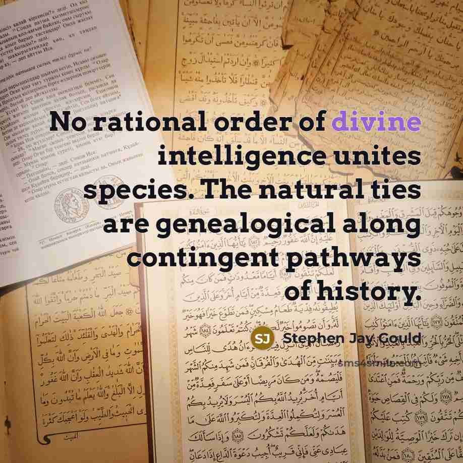 “No rational order of divine intelligence unites species. The natural…” quote by Stephen Jay Gould
