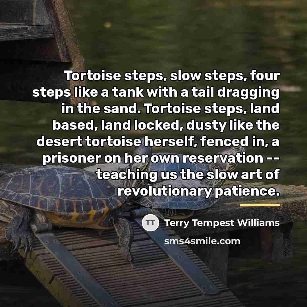 “Tortoise steps, slow steps, four steps like a tank with…” quote by Terry Tempest Williams