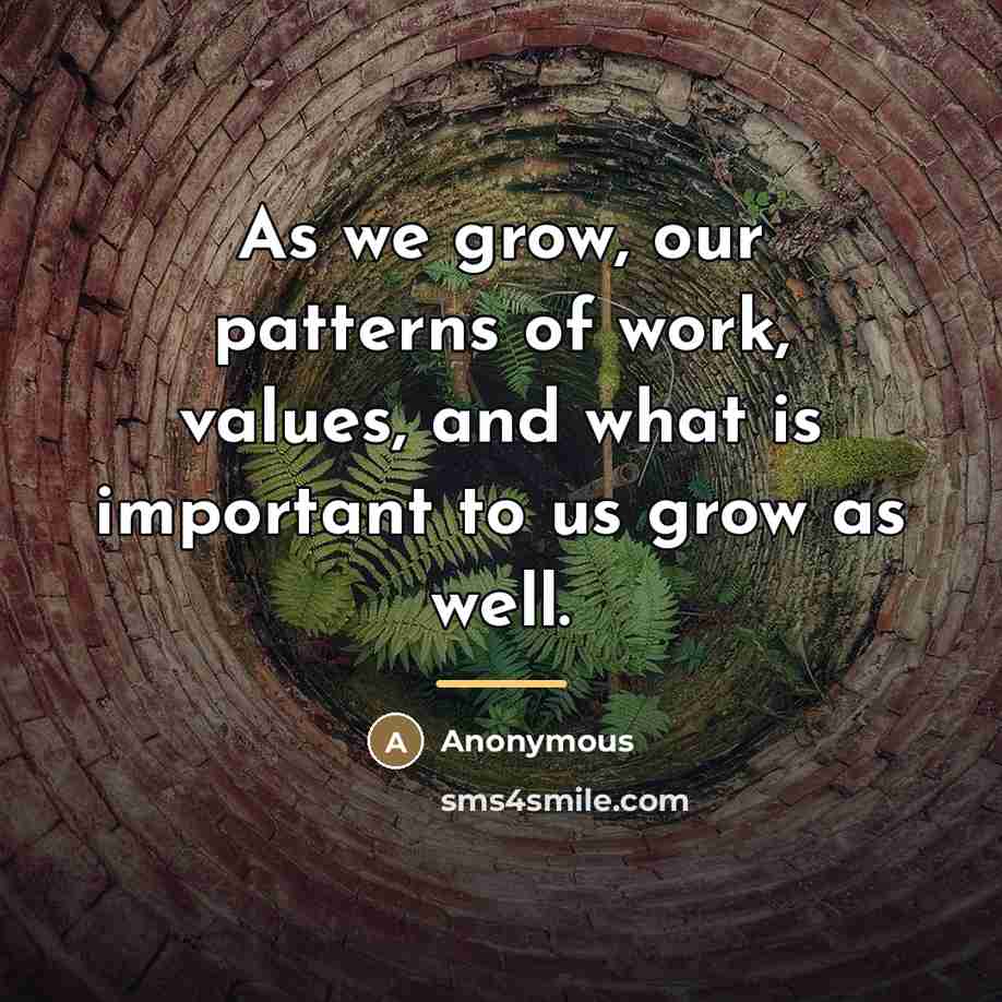 “As we grow, our patterns of work, values, and what…” quote by Anonymous