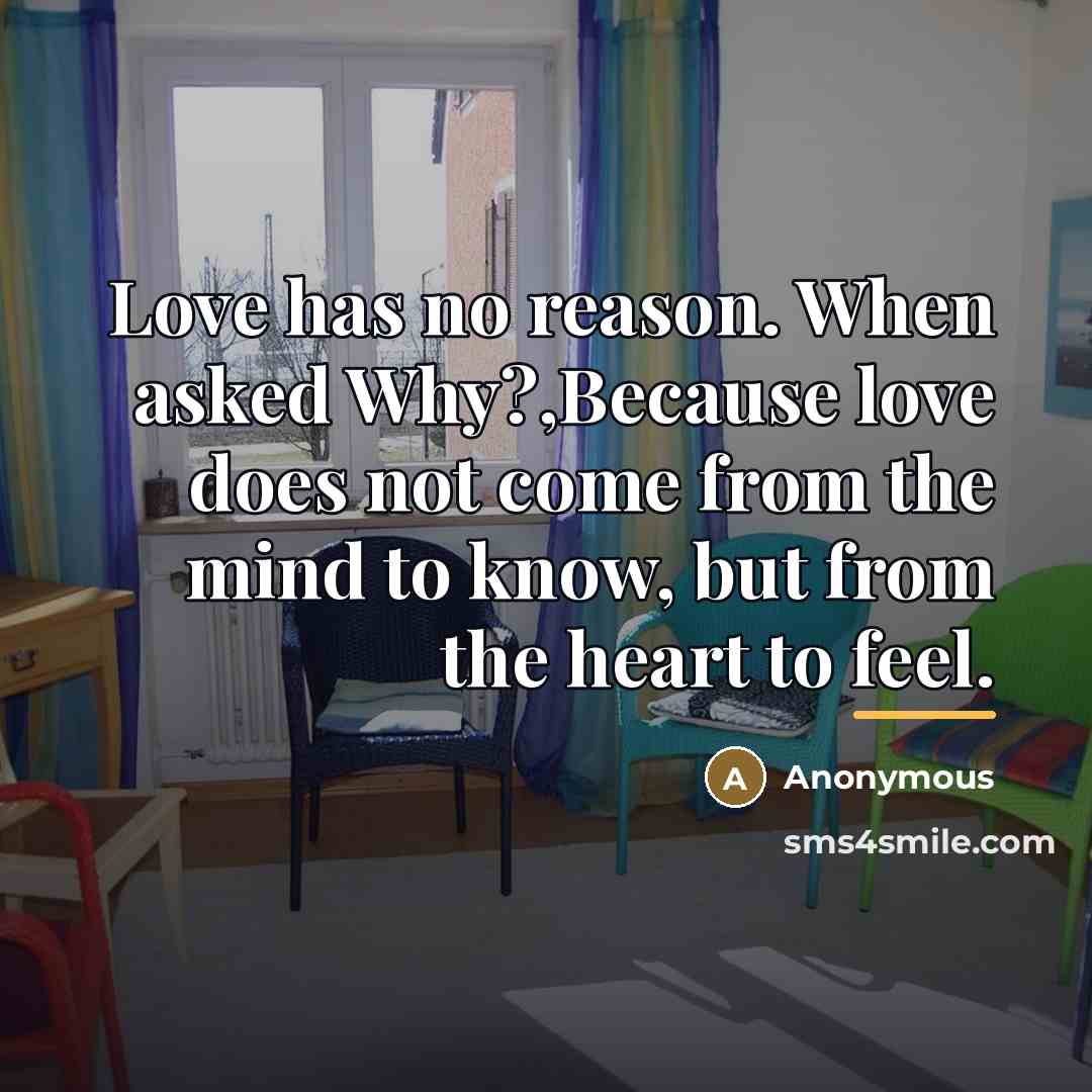 “Love has no reason. When asked Why?,Because love does not…” quote by Anonymous