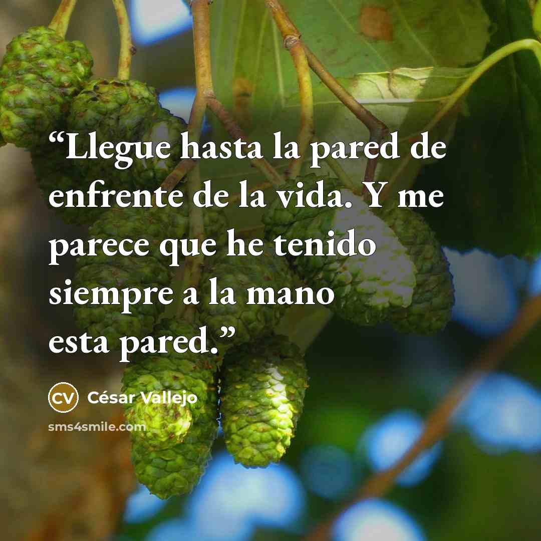 “Llegue hasta la pared de enfrente de la vida. Y me parece que he tenido siempre a la mano esta pared.” quote by César Vallejo