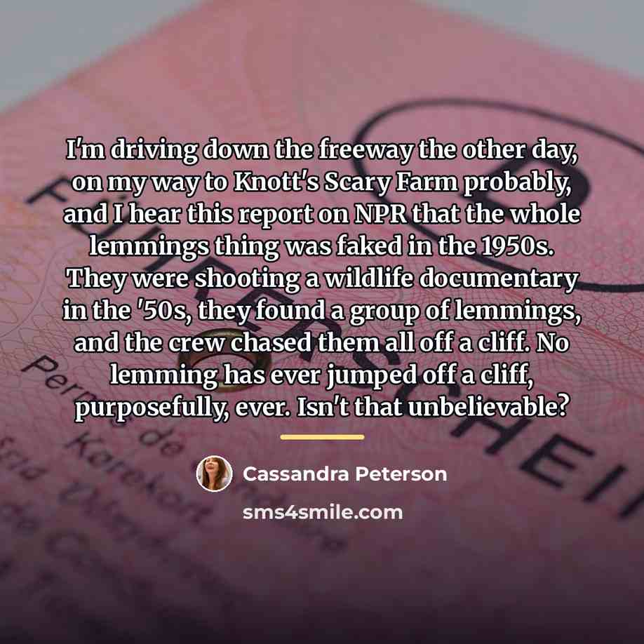 “I'm driving down the freeway the other day, on my…” quote by Cassandra Peterson