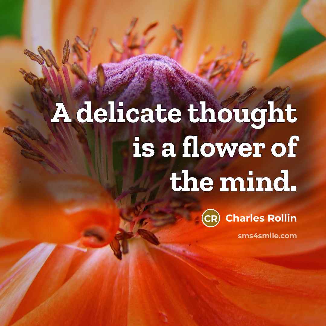 “A delicate thought is a flower of the mind.…” quote by Charles Rollin
