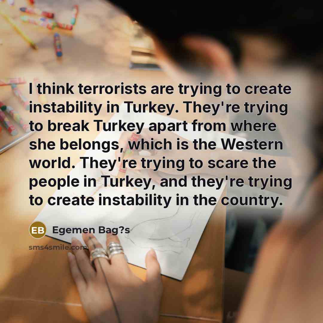 “I think terrorists are trying to create instability in Turkey.…” quote by Egemen Bag?s