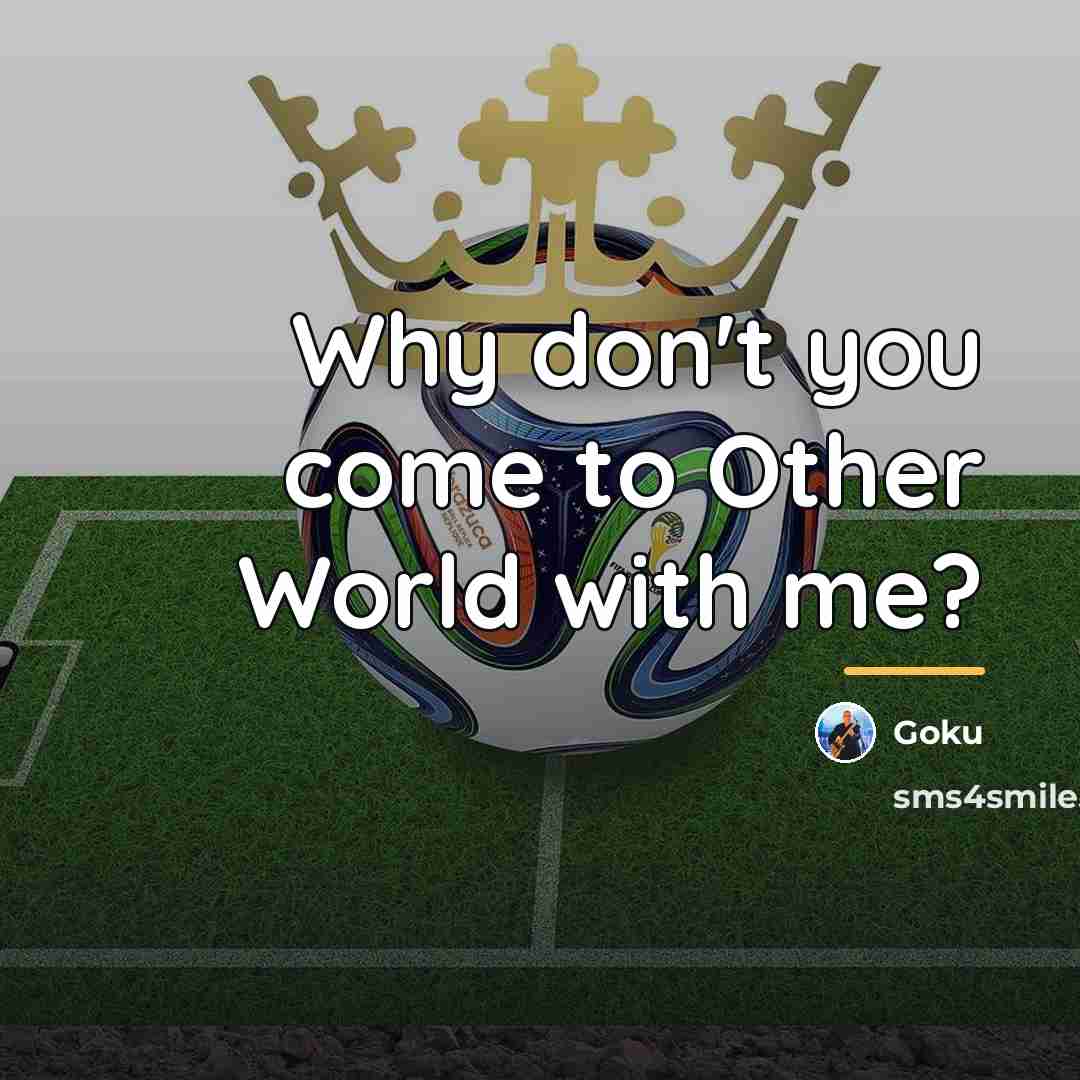 “Why don't you come to Other World with me?…” quote by Goku