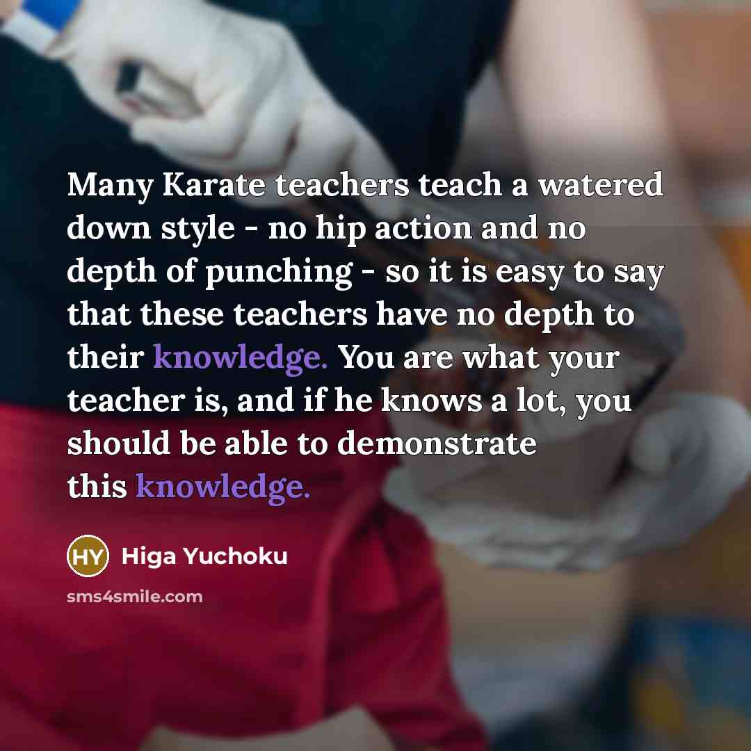 “Many Karate teachers teach a watered down style - no…” quote by Higa Yuchoku