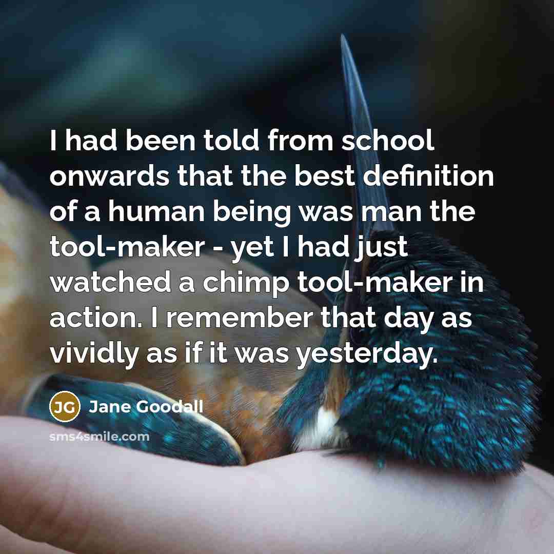 “I had been told from school onwards that the best…” quote by Jane Goodall