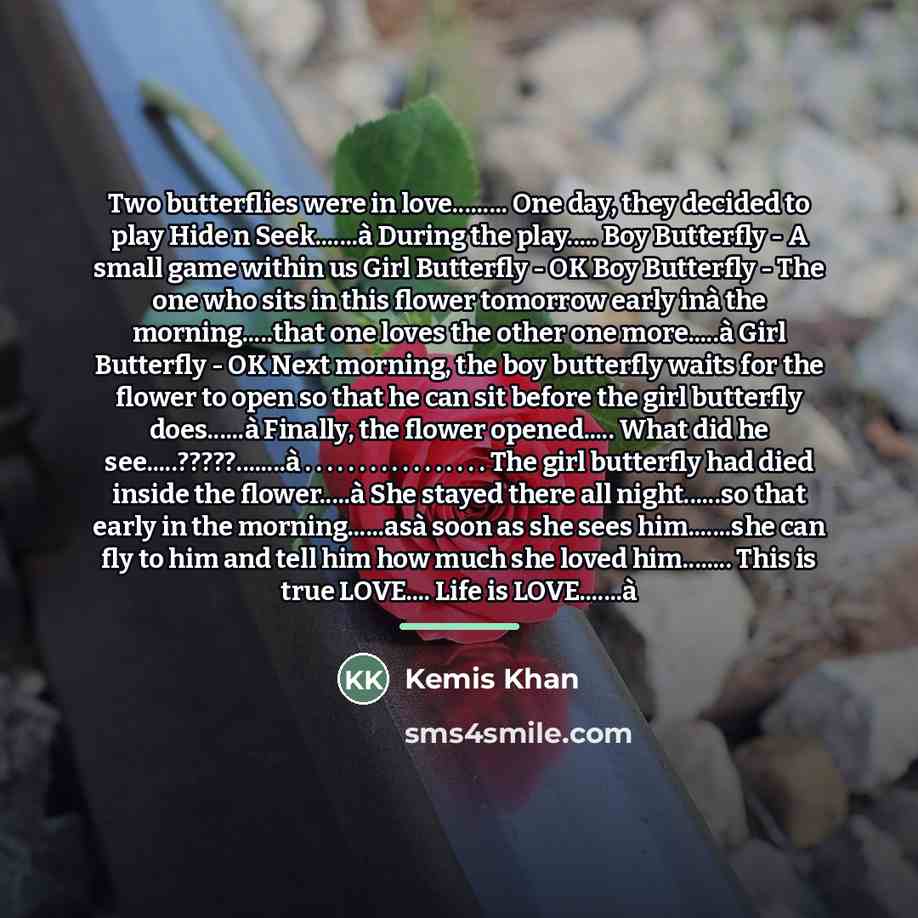 “Two butterflies were in love......... One day, they decided to…” quote by Kemis Khan