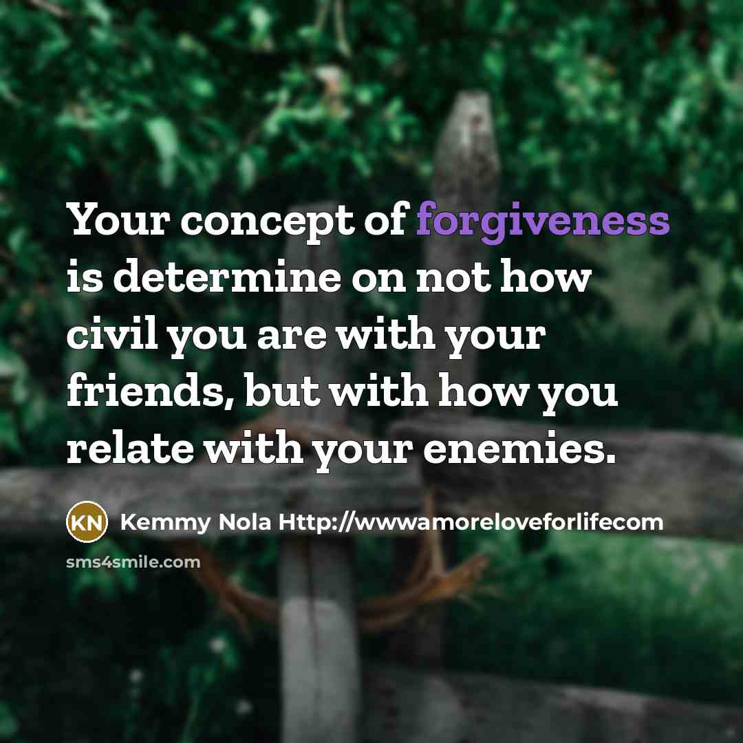 “Your concept of forgiveness is determine on not how civil…” quote by Kemmy Nola Http://wwwamoreloveforlifecom