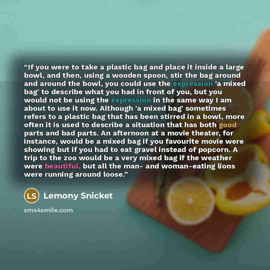 “If you were to take a plastic bag and place it inside a large bowl, and then, using a wooden spoon, stir the bag around and around the bowl, you could use the expression 'a mixed bag' to describe what you had in front of you, but you would not be using the expression in the same way I am about to…” quote by Lemony Snicket