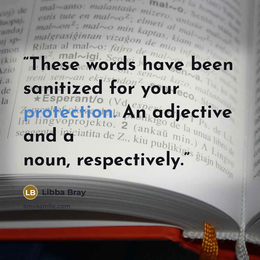 “These words have been sanitized for your protection. An adjective and a noun, respectively.” quote by Libba Bray