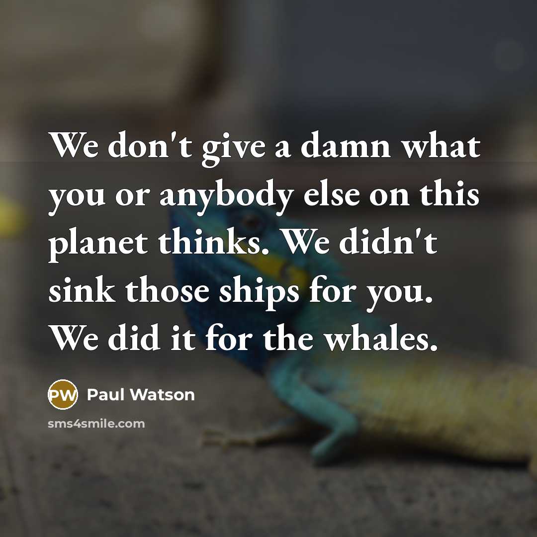 “We don't give a damn what you or anybody else…” quote by Paul Watson