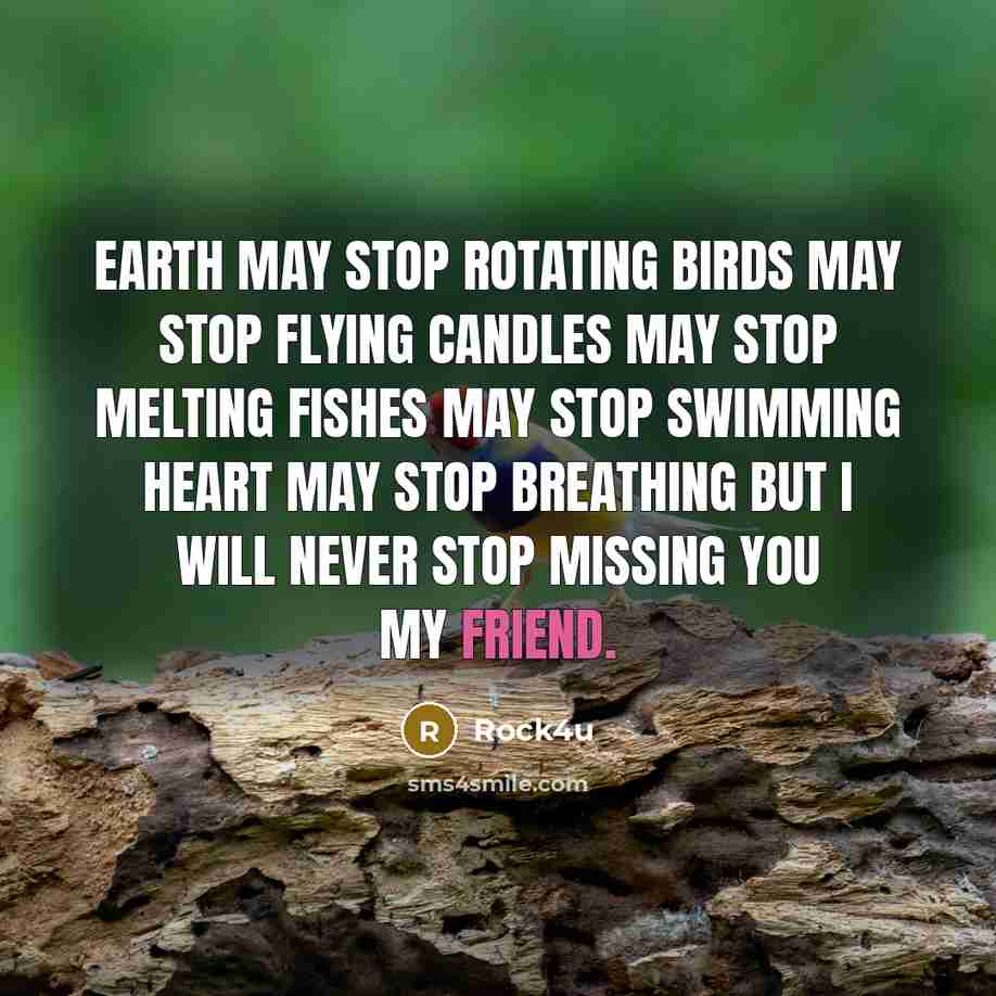 “Earth may stop rotating Birds may stop flying Candles may…” quote by Rock4u