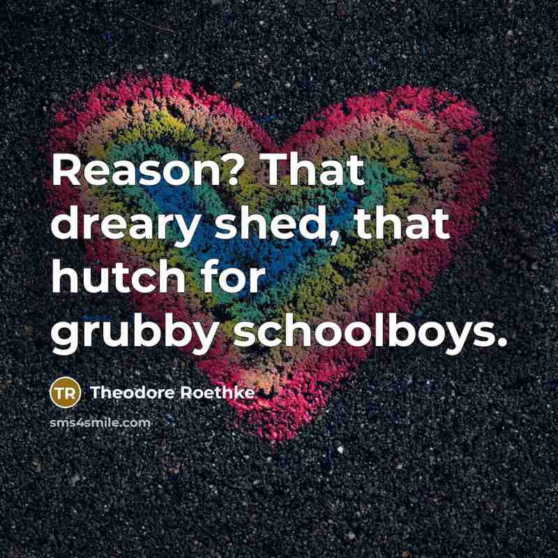 “Reason? That dreary shed, that hutch for grubby schoolboys.…” quote by Theodore Roethke