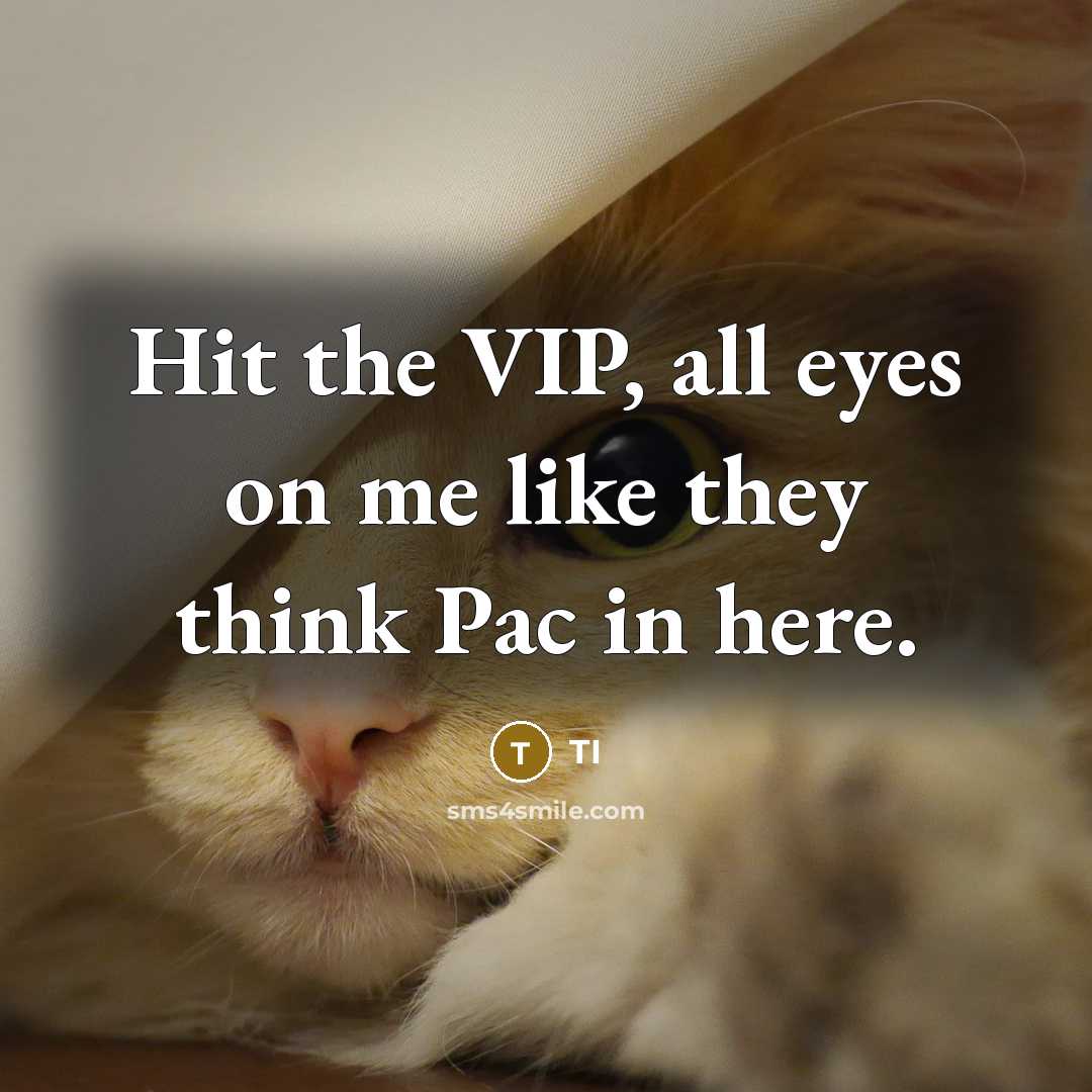 “Hit the VIP, all eyes on me like they think…” quote by TI