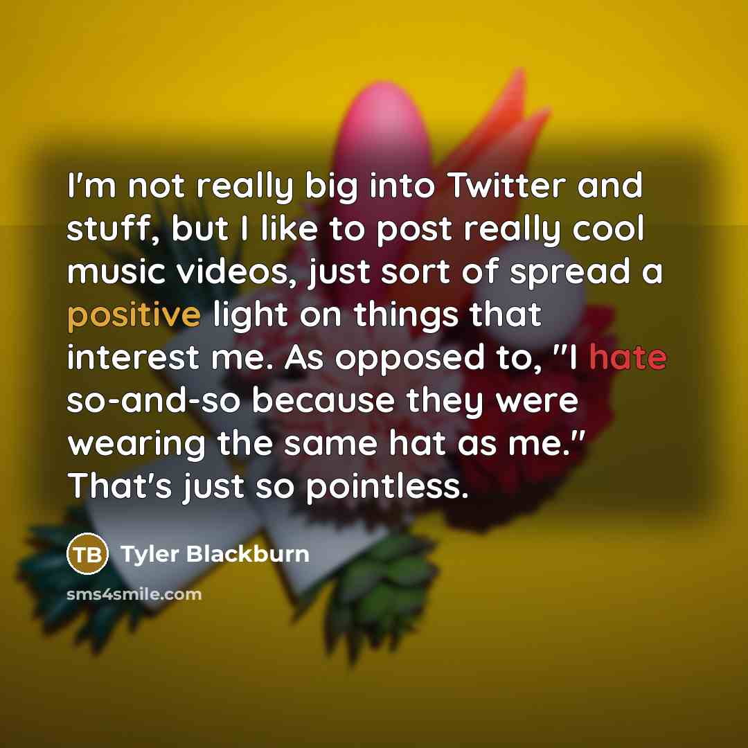 “I'm not really big into Twitter and stuff, but I…” quote by Tyler Blackburn