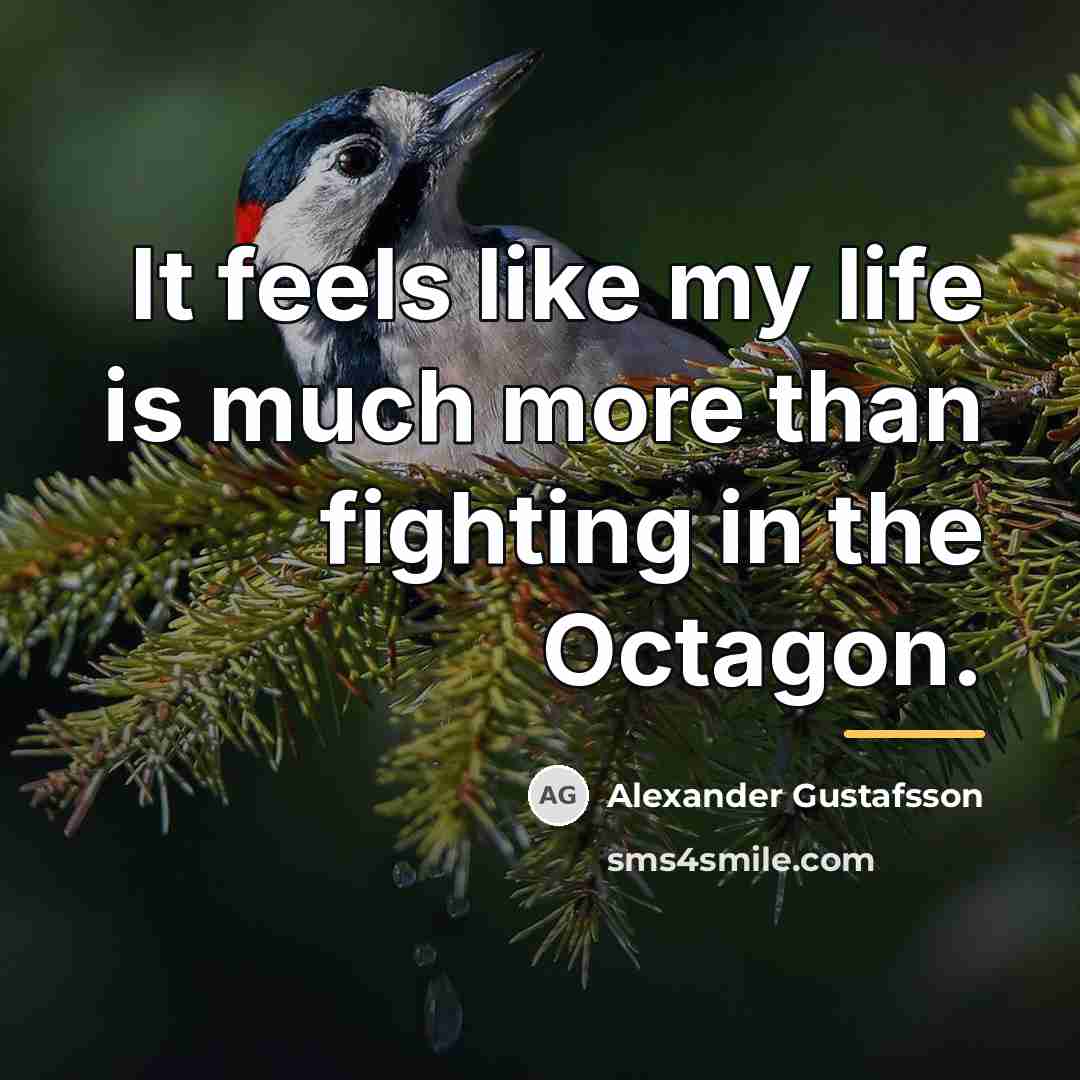 “It feels like my life is much more than fighting…” quote by Alexander Gustafsson