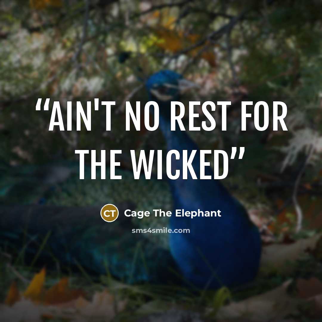 “Ain't no rest for the wicked” quote by Cage the Elephant