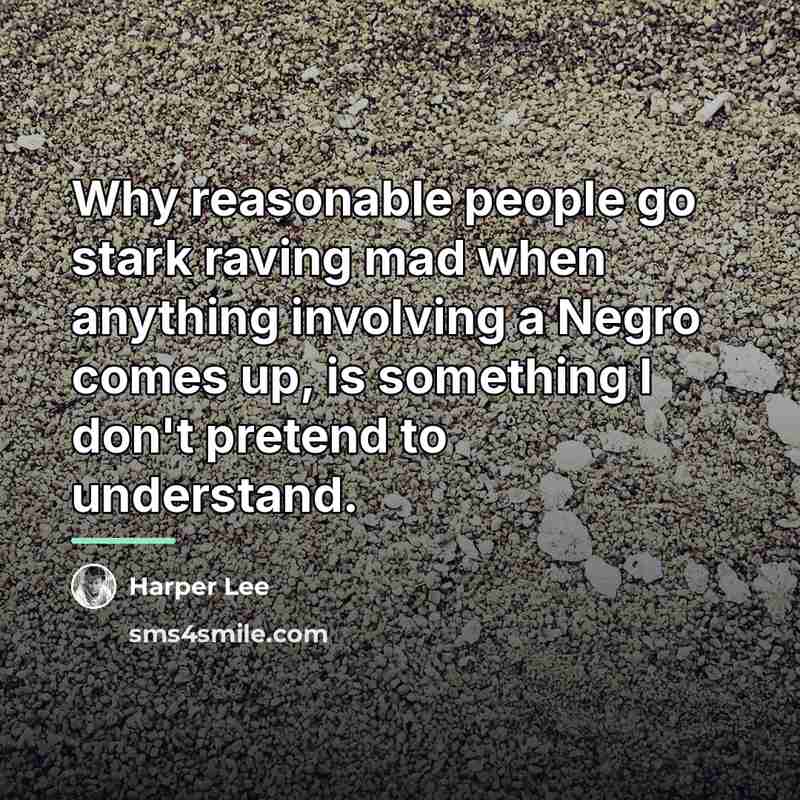 “Why reasonable people go stark raving mad when anything involving…” quote by Harper Lee