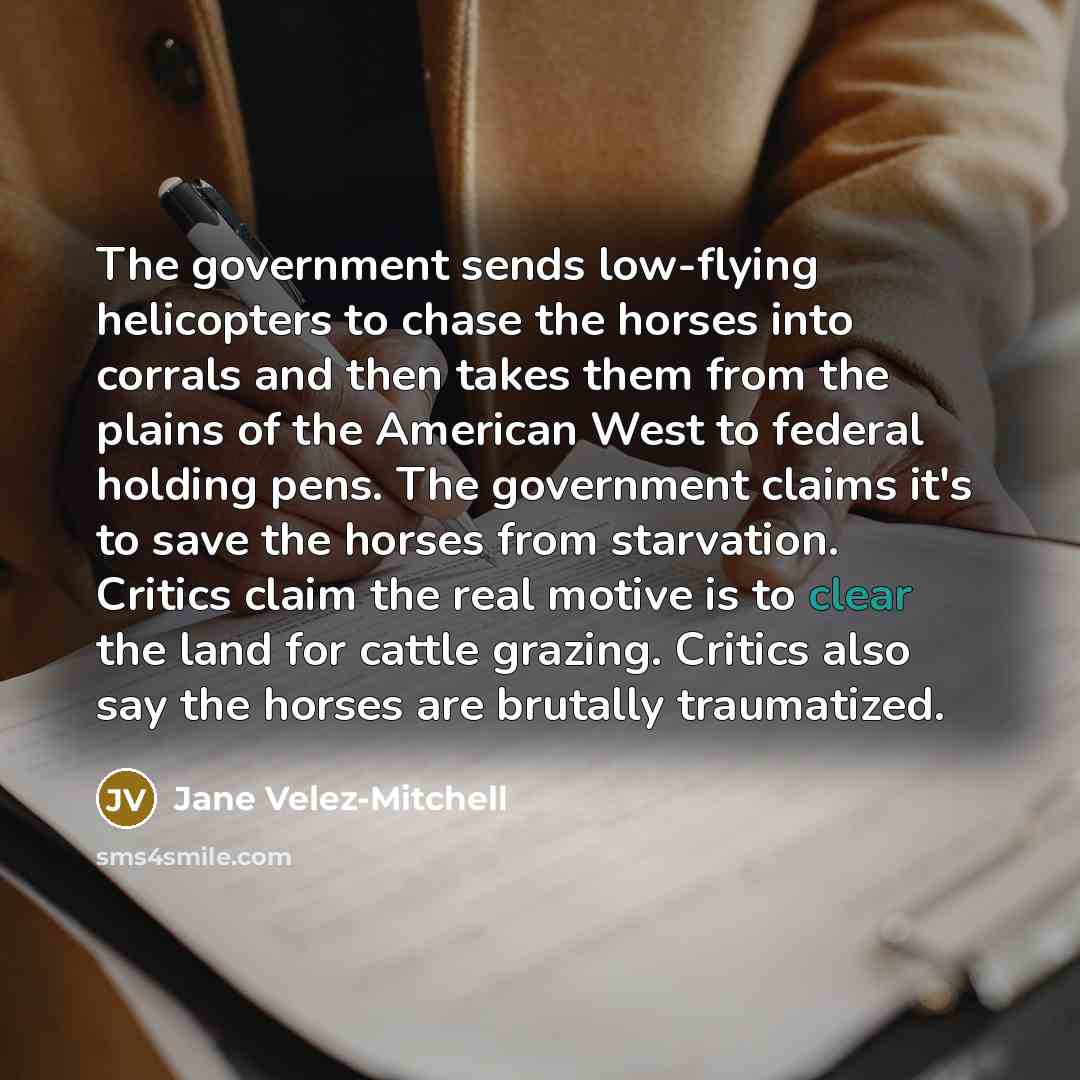 “The government sends low-flying helicopters to chase the horses into…” quote by Jane Velez-Mitchell