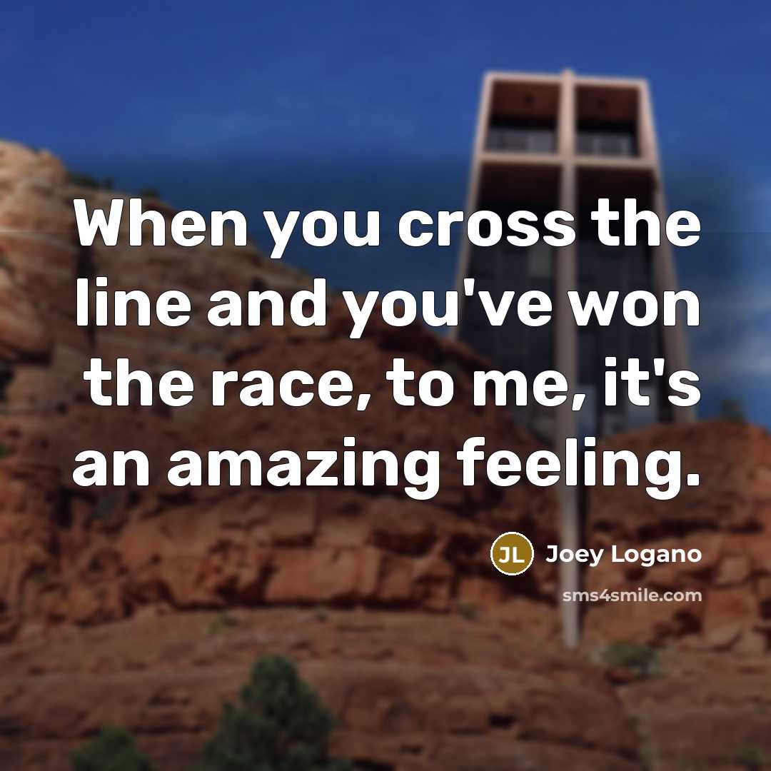 “When you cross the line and you've won the race,…” quote by Joey Logano