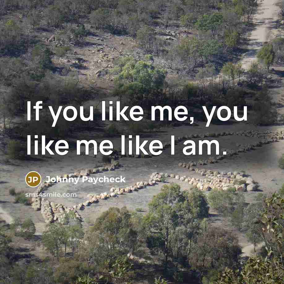 “If you like me, you like me like I am.…” quote by Johnny Paycheck