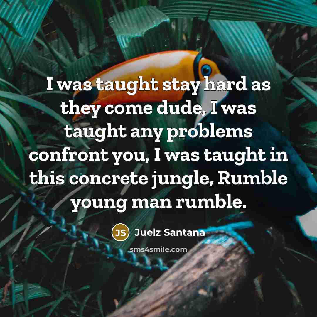 “I was taught stay hard as they come dude, I was taught any problems confront you, I was taught in this concrete jungle, Rumble young man rumble.” quote by Juelz Santana