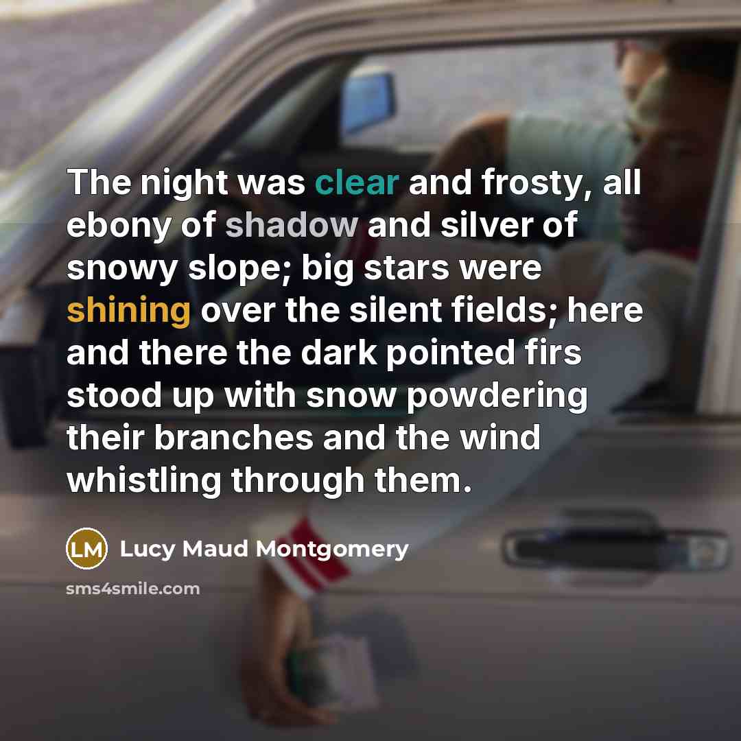 “The night was clear and frosty, all ebony of shadow…” quote by Lucy Maud Montgomery