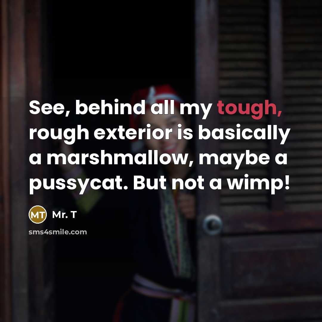 “See, behind all my tough, rough exterior is basically a…” quote by Mr. T