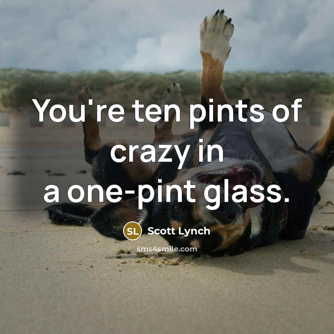 “You're ten pints of crazy in a one-pint glass.…” quote by Scott Lynch