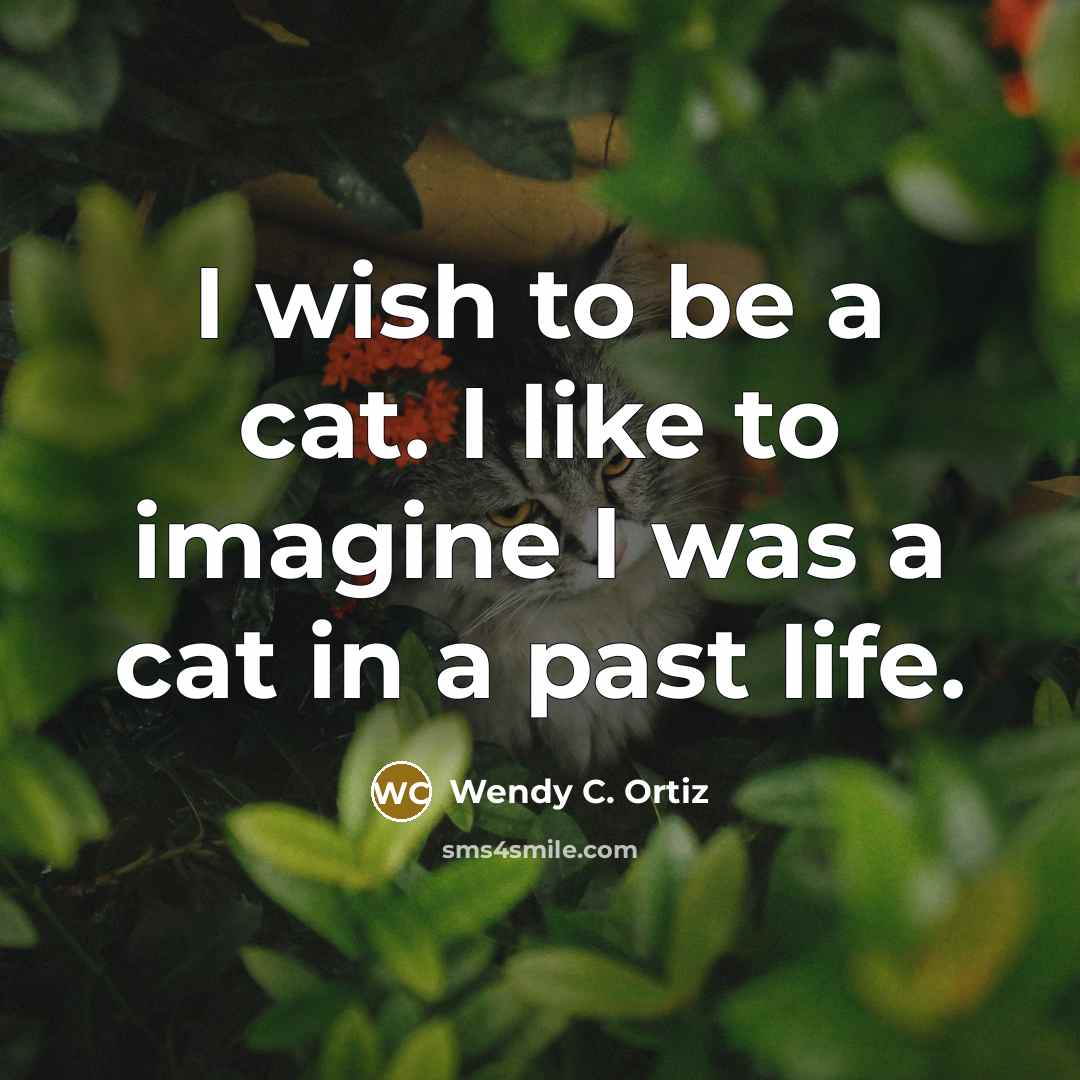 “I wish to be a cat. I like to imagine…” quote by Wendy C. Ortiz