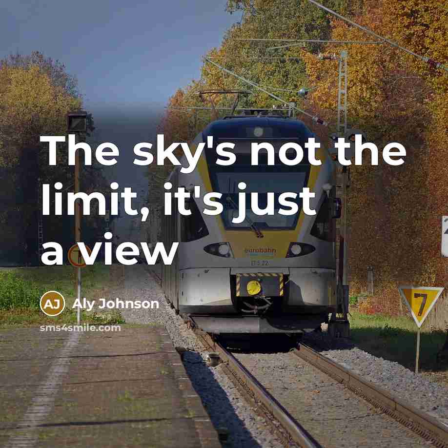 “The sky's not the limit, it's just a view” quote by Aly Johnson