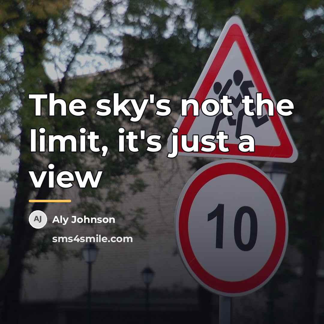 “The sky's not the limit, it's just a view…” quote by Aly Johnson