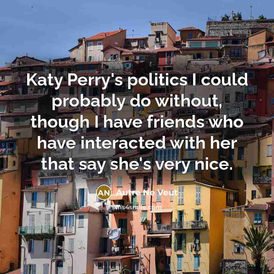 “Katy Perry's politics I could probably do without, though I…” quote by Autre Ne Veut