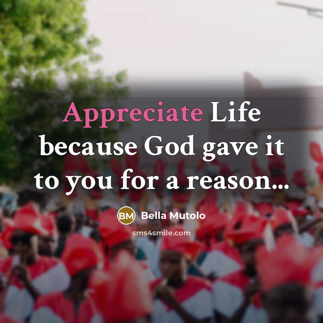 “Appreciate Life because God gave it to you for a…” quote by Bella Mutolo