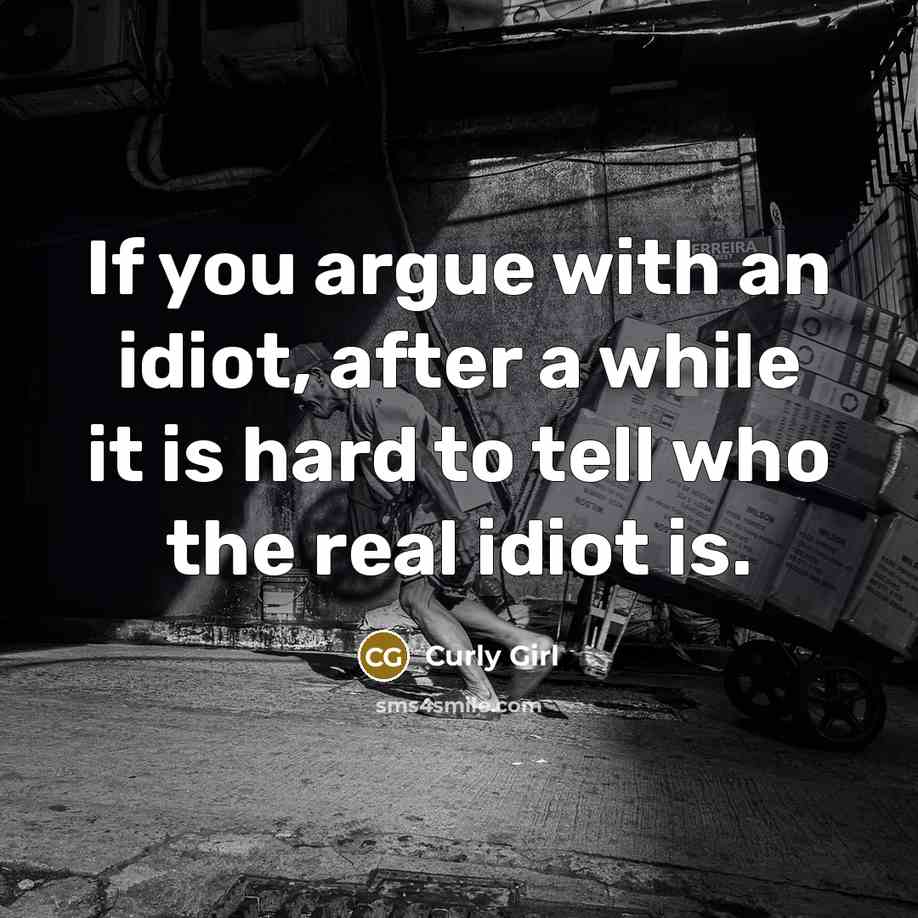 “If you argue with an idiot, after a while it…” quote by Curly Girl