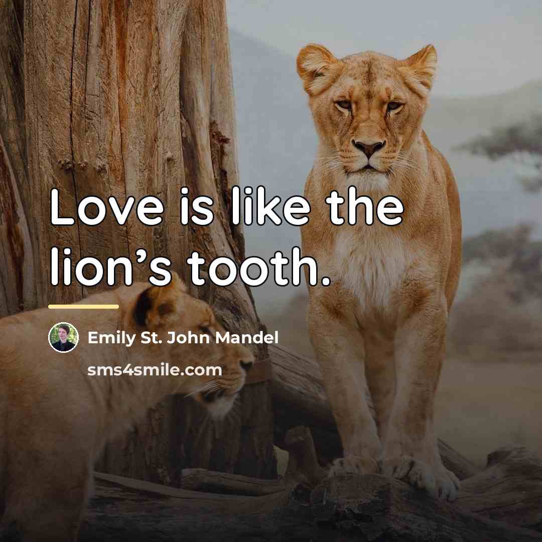 “Love is like the lion’s tooth.…” quote by Emily St. John Mandel