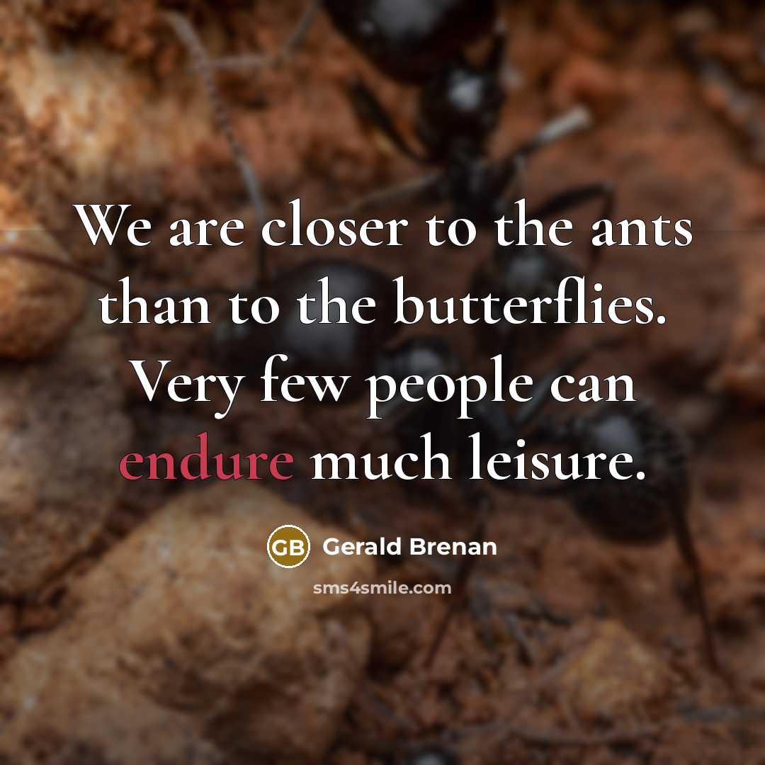 “We are closer to the ants than to the butterflies.…” quote by Gerald Brenan