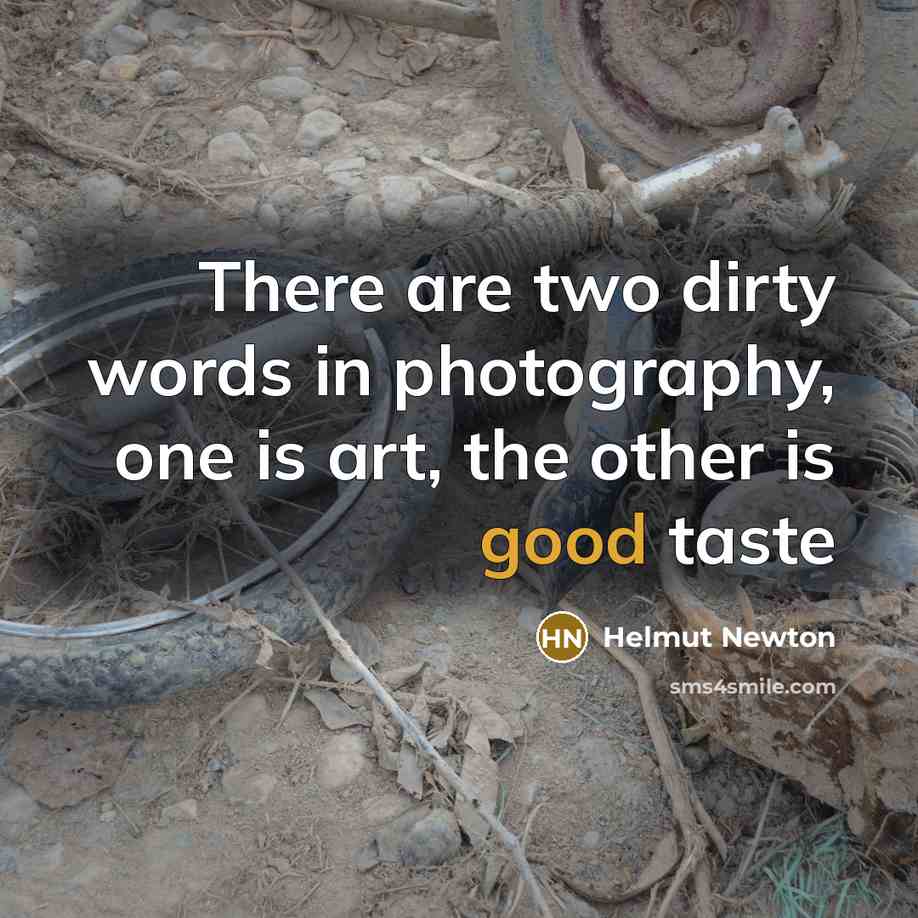 “There are two dirty words in photography, one is art,…” quote by Helmut Newton
