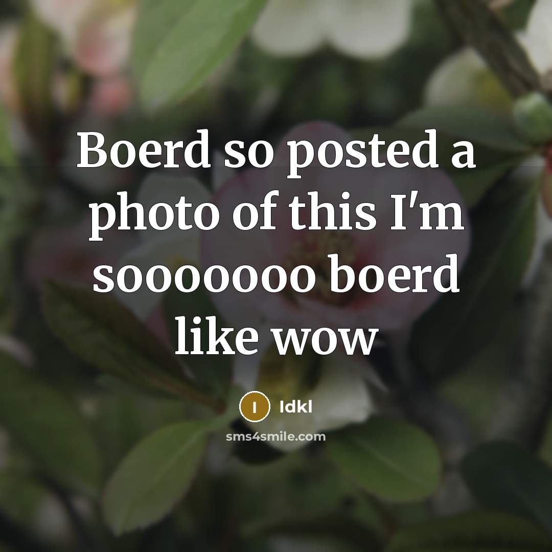 “Boerd so posted a photo of this I'm sooooooo boerd like wow” quote by Idkl