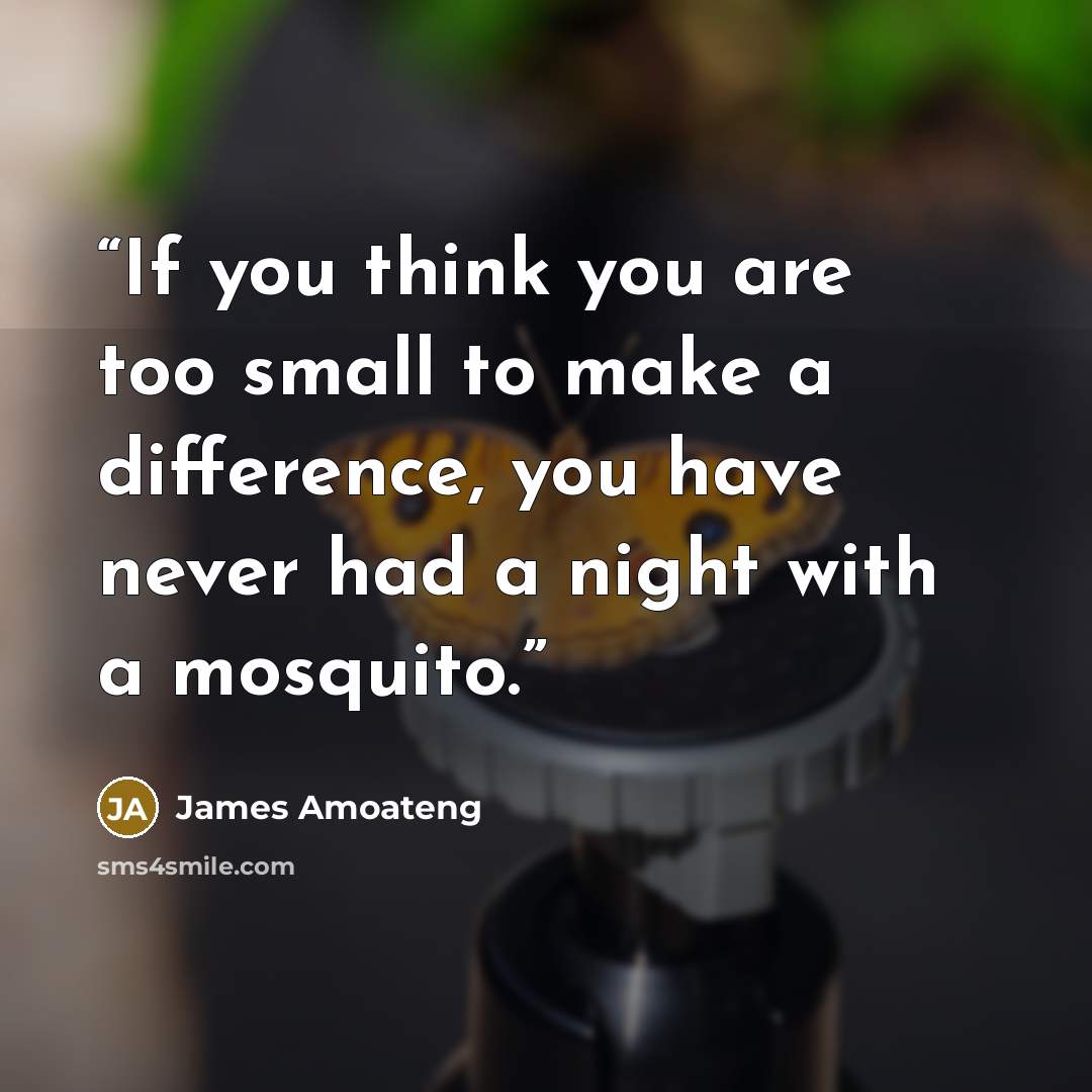 “If you think you are too small to make a difference, you have never had a night with a mosquito.” quote by James Amoateng