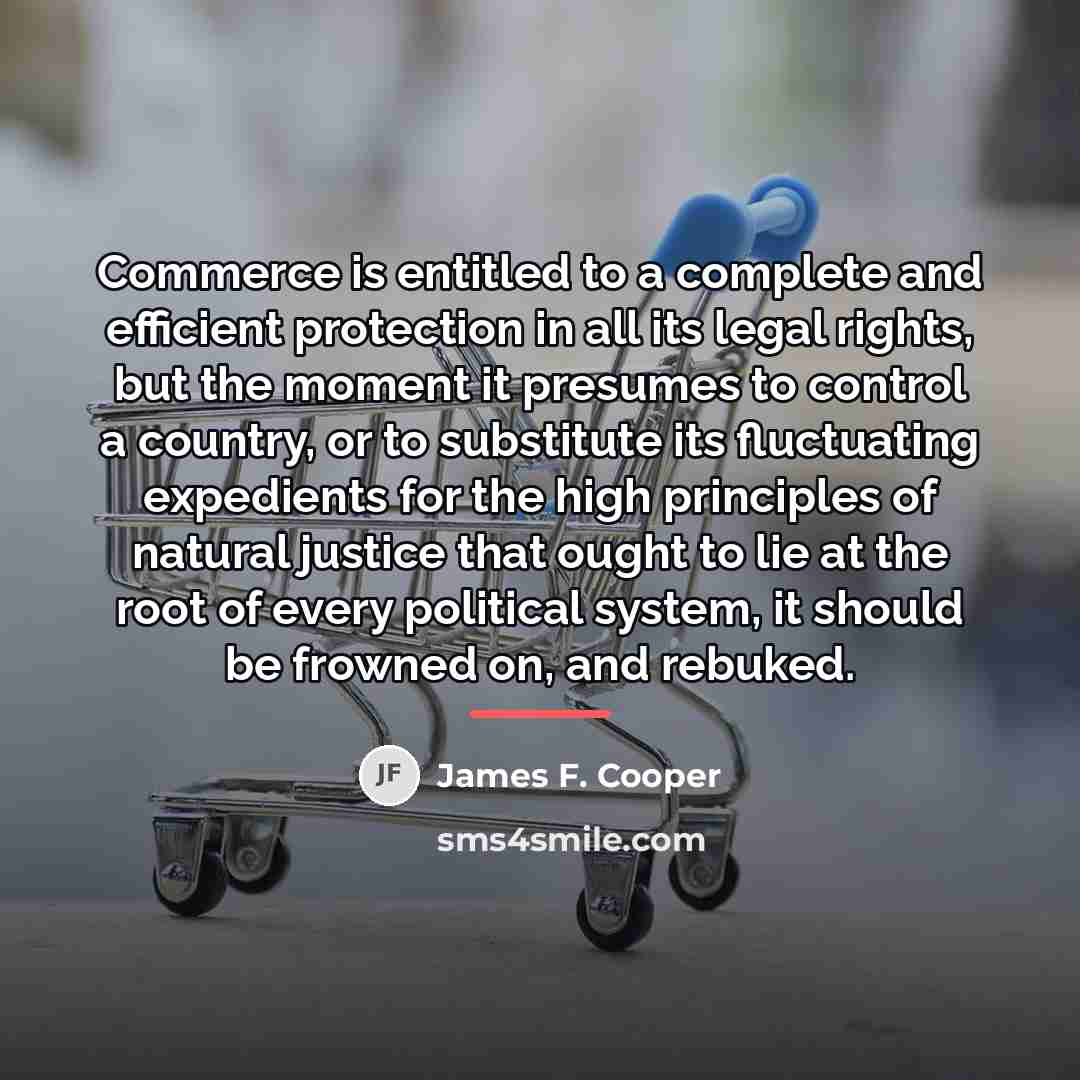“Commerce is entitled to a complete and efficient protection in…” quote by James F. Cooper