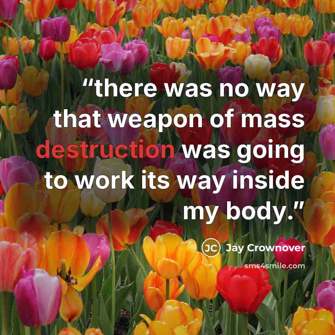 “there was no way that weapon of mass destruction was going to work its way inside my body.” quote by Jay Crownover