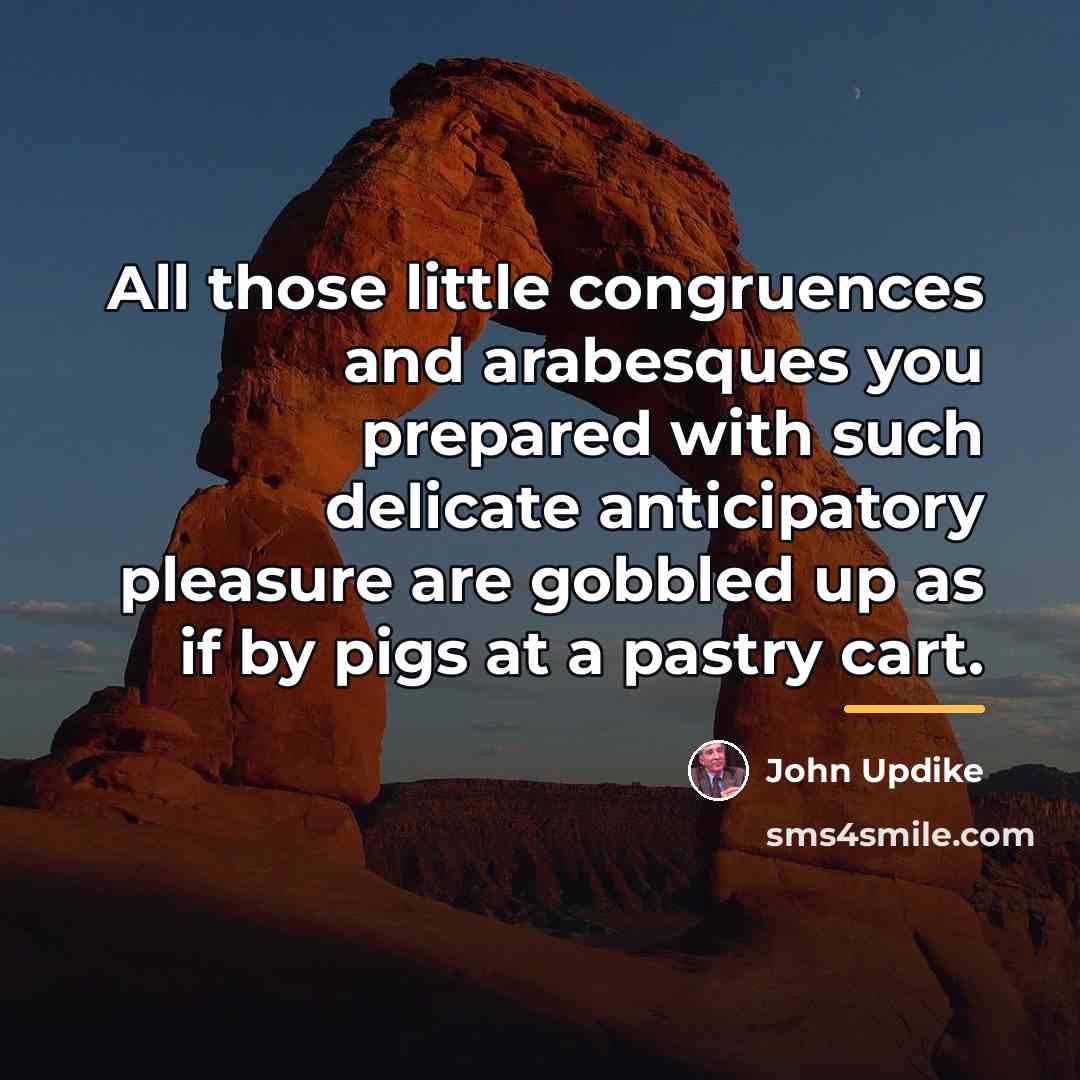 “All those little congruences and arabesques you prepared with such…” quote by John Updike