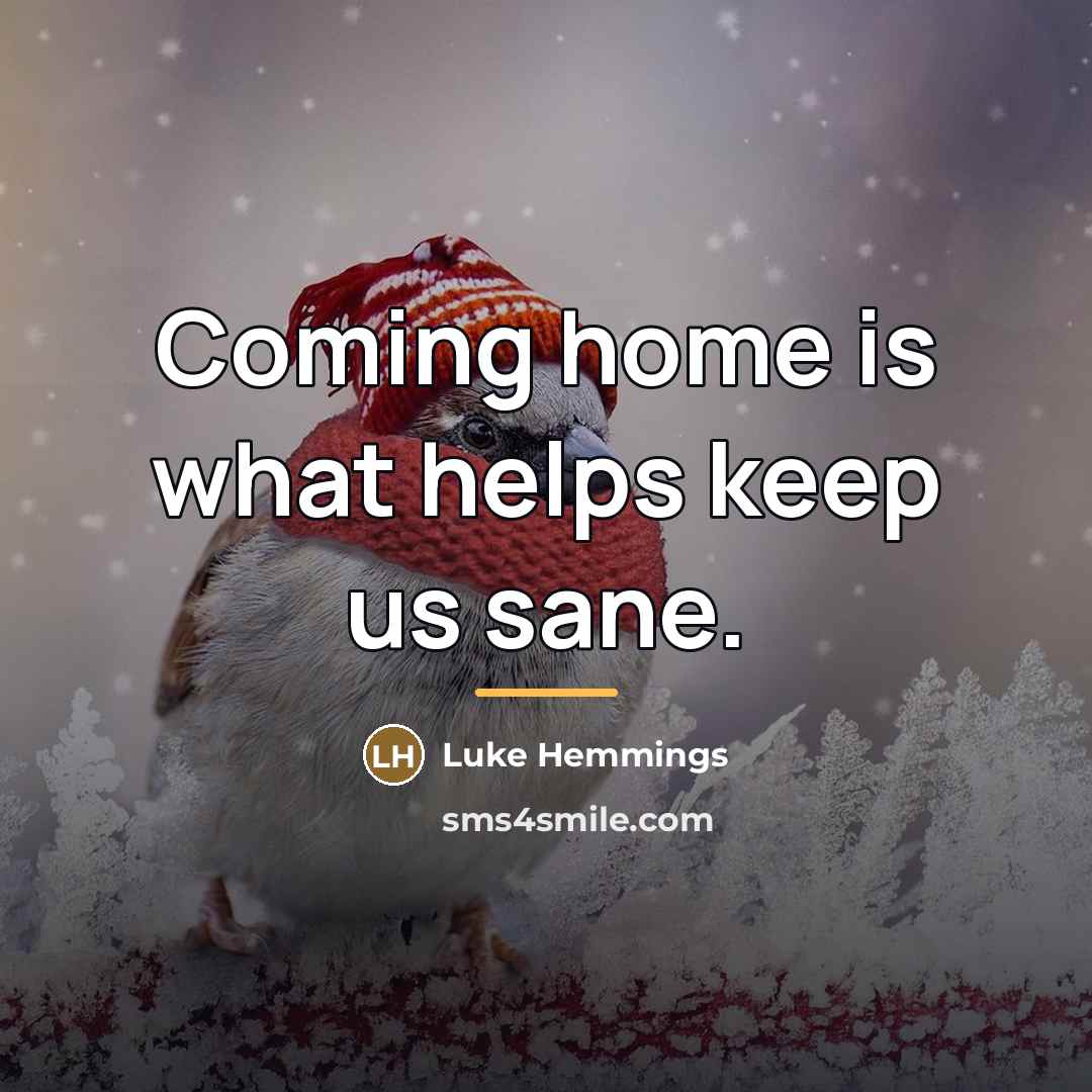 “Coming home is what helps keep us sane.…” quote by Luke Hemmings