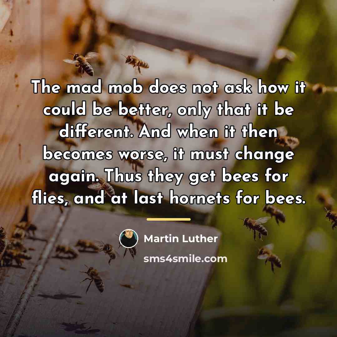 “The mad mob does not ask how it could be…” quote by Martin Luther